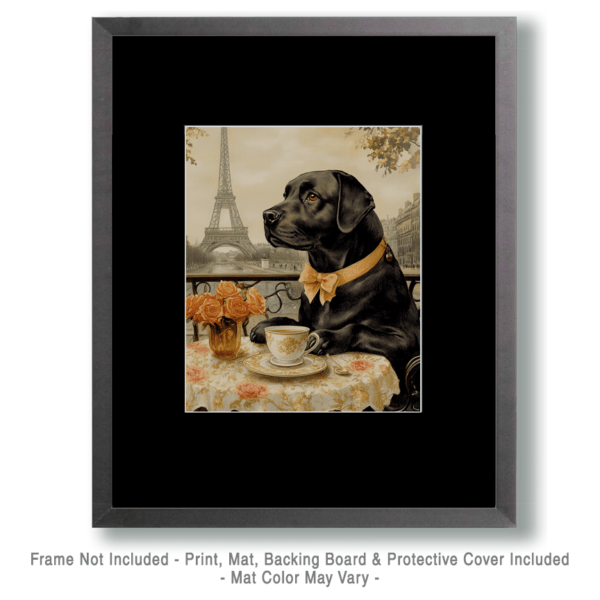 Black Labrador Retriever at a Paris Cafe