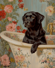 Black Labrador Retriever in Bathtub