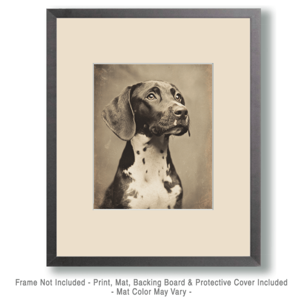 German Shorthaired Pointer Art