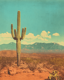 Antique Style Saguaro Cactus