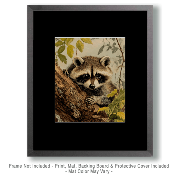 Antique Style Raccoon Art