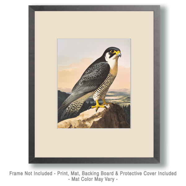 Antique Style Kestrel Art