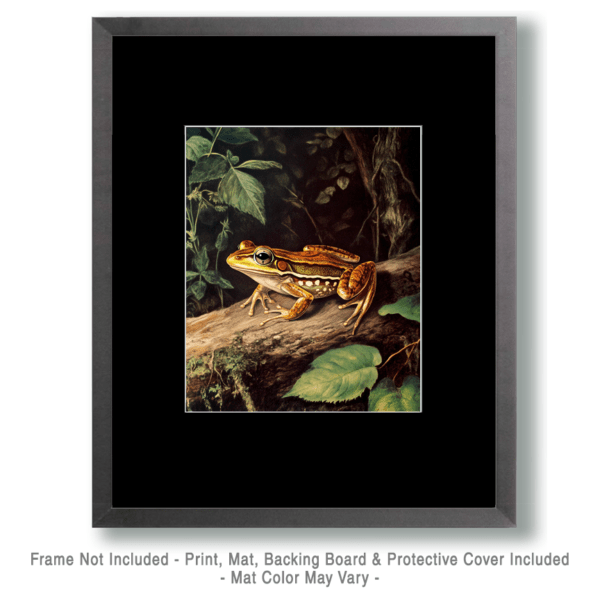 Antique Style Frog Art