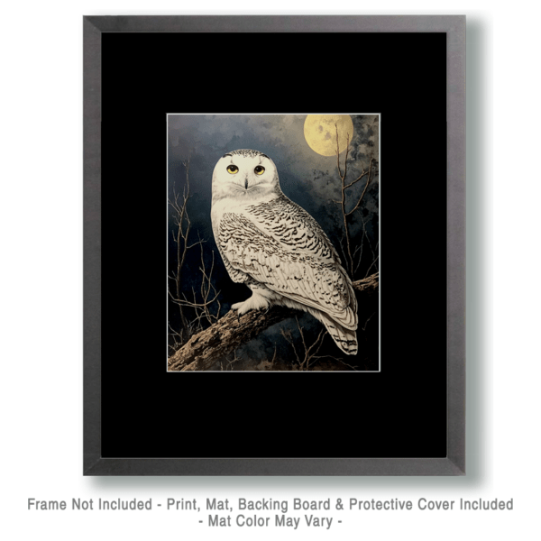 Snowy Owl Art