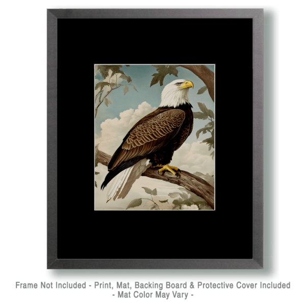 Antique Style Bald Eagle Art