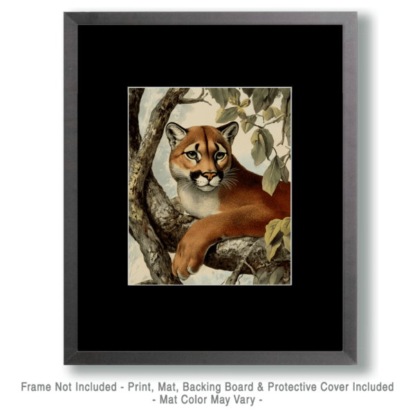 Antique Style Mountain Lion Art