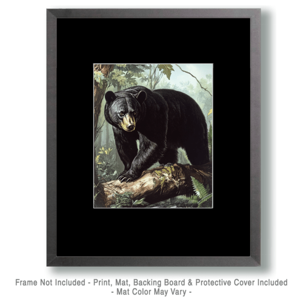 Black Bear Art