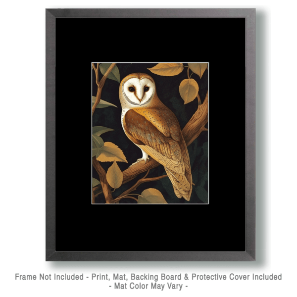 Antique Style Barn Owl Art