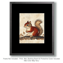 Antique Style Red Squirrel Kit Art