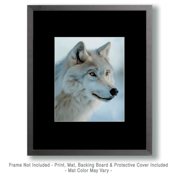 Intent White Wolf Art