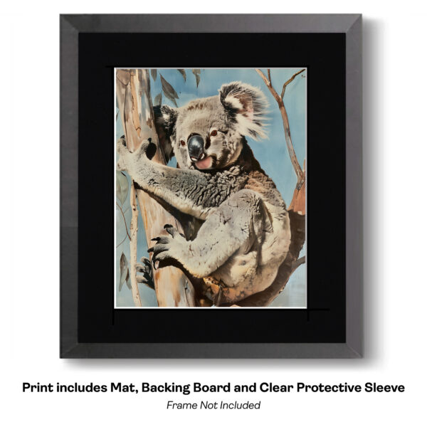 Vintage Photo of Koala recolored art print