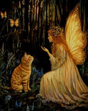 Late Night Discussion Fairy to Cat