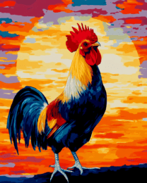 Stunning Sunset Rooster