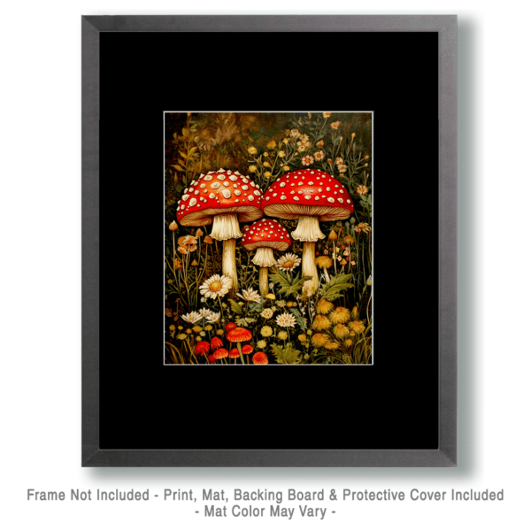 Classic Amanita Shroom Art