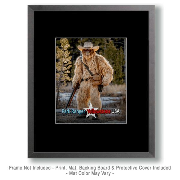 Animal Park Rangers - Sasquatch Art