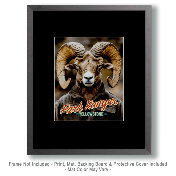 Animal Park Rangers - Bighorn Ram Art