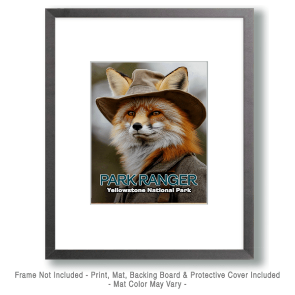 Animal Park Rangers - Fox Art