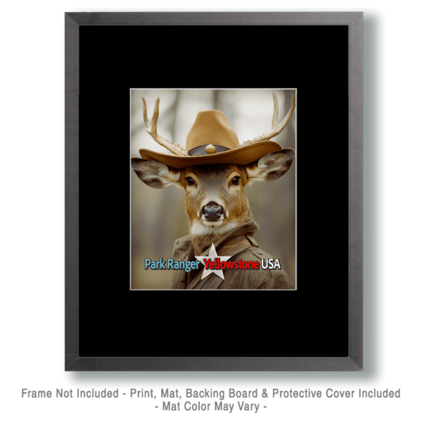 Animal Park Rangers - Buck Art