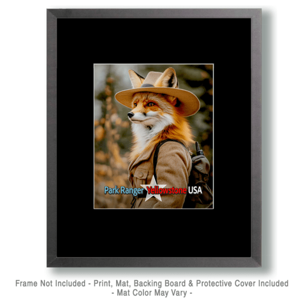 Animal Park Rangers - Red Fox Art