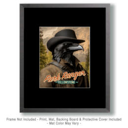 Animal Park Rangers - Raven Art