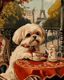 Shih Tzu at a Paris Cafe