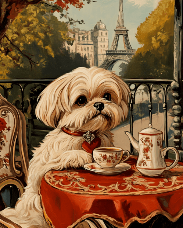 Shih Tzu at a Paris Cafe