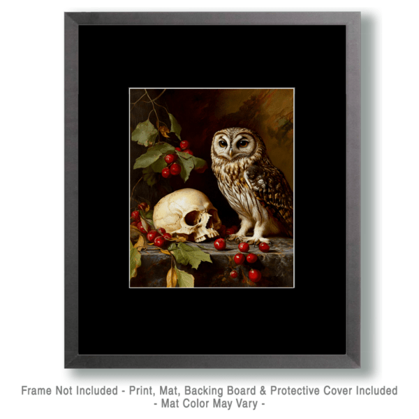 Owl and Skull Still-Life Art