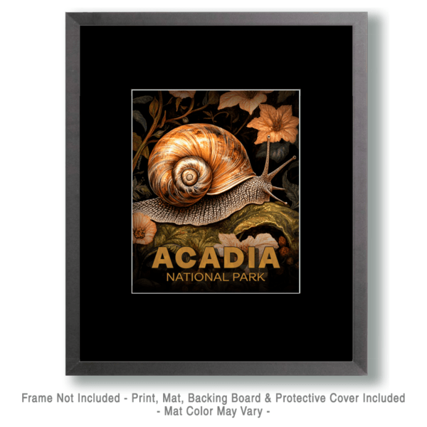 Acadia National Park - Woodland Snail Art