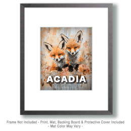 Acadia National Park - Two Fox Pups Art