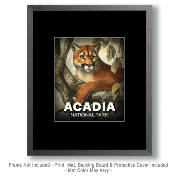 Acadia National Park - Vintage Mountain Lion Art