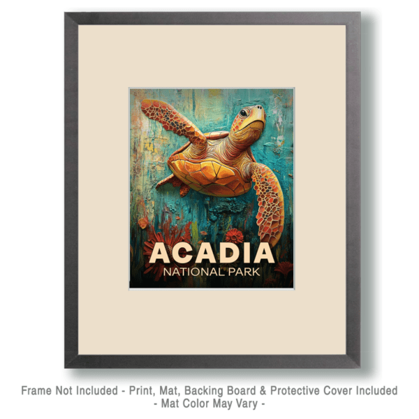 Acadia National Park - Folk Art Sea Turtle Art