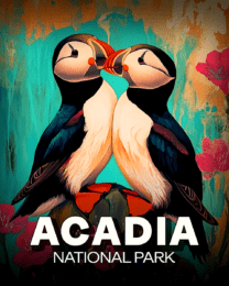 Acadia National Park - Puffins in Love