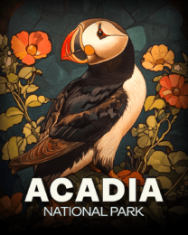 Acadia National Park - Vintage Puffin Still-Life