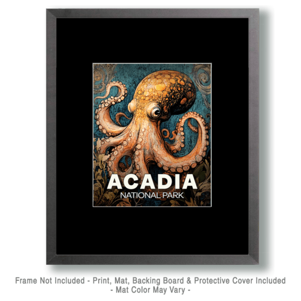 Acadia National Park - Octopus Art