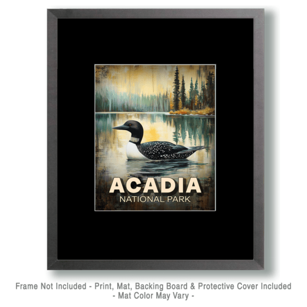 Acadia National Park - Maine Loon Art