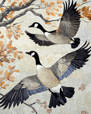 Canadian Geese #1