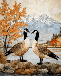 Canadian Geese #2