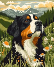 Alpine Bernese Mountain Dog