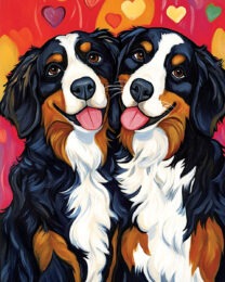 Bernese Mountain Dogs in Love