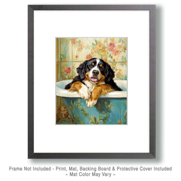 Bernese Mountain Dog Taking a Bath Art