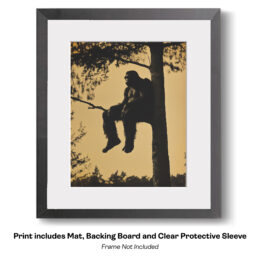 Bigfoot in a Tree art print