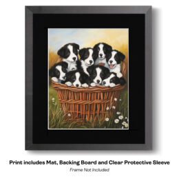 Basket Of Border Collies