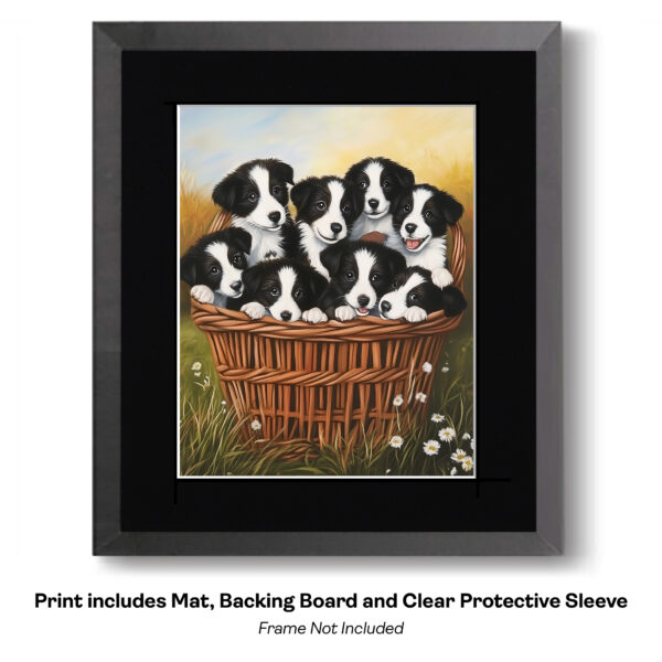 Basket Of Border Collies