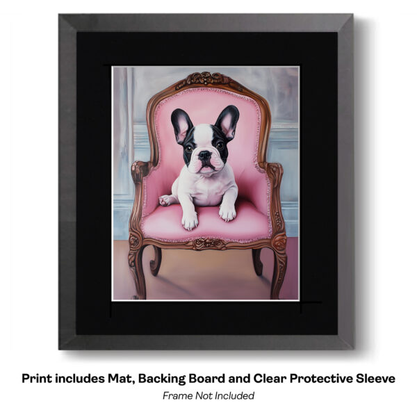 Black and White French Bulldog on French Provincial Chair