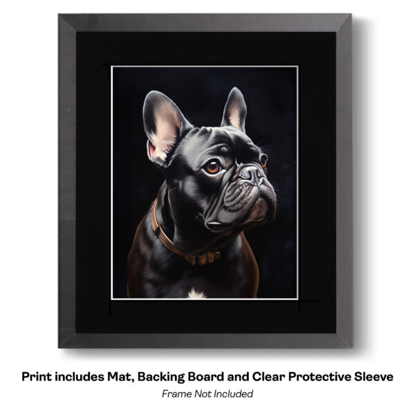 Black French Bulldog Portrait