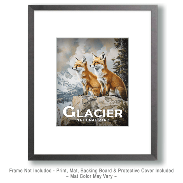 Glacier National Park - Pair of Red Fox Art