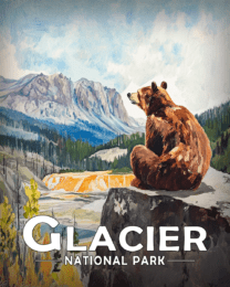 Glacier National Park - Sitting Bear