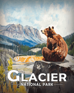 Glacier National Park - Sitting Bear