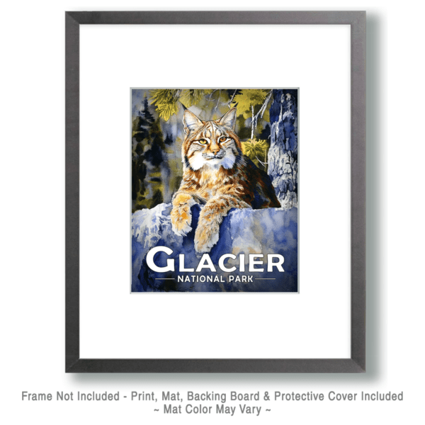 Glacier National Park - Canadian lynx Art