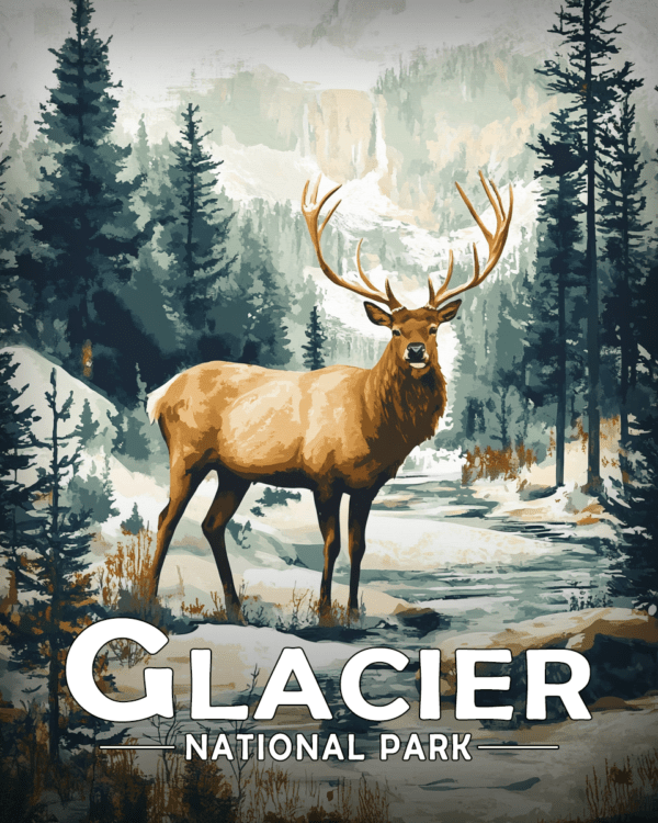 Glacier National Park - Elk by Creek